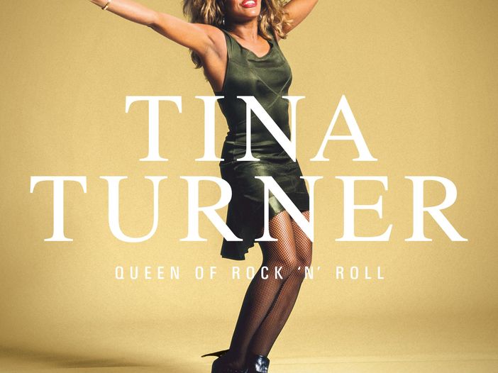 Tutti i singoli di Tina Turner in &quot;Queen of Rock &#039;n&#039; Roll&quot;