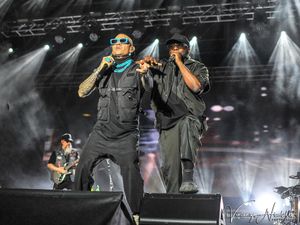 Black Eyed Peas