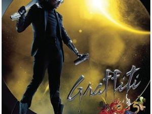 Chris Brown vìola la libertà vigilata e finisce in carcere