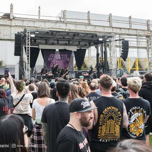 Stain The Canvas Stain The Canvas