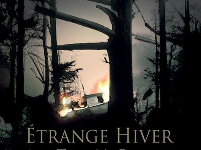 Tom McRae, <br> da Nick Drake all&#8217;elettronica