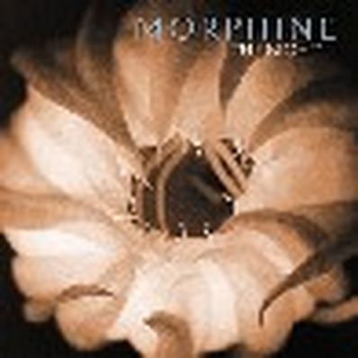 THE NIGHT Morphine