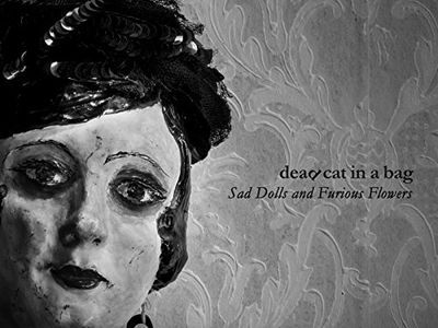 Dead Cat in a Bag: è &apos;Lost bags&apos; l&apos;album d&apos;esordio