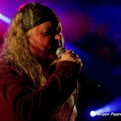 27 maggio 2017 - Parco della Colonia - Osoppo (Ud) - Chris Slade in concerto