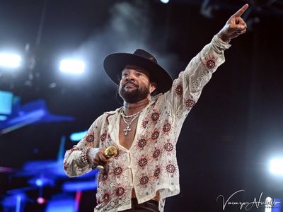 RIAA: è Shaggy il campione di vendite nel 2001
