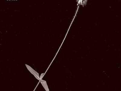 Prinzhorn Dance School: quattro date in Italia a marzo