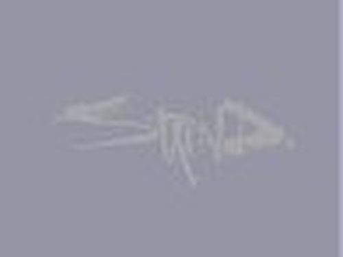 Il tour anti-crisi degli Staind: prezzi ridotti, sconti acquisti ai fan 