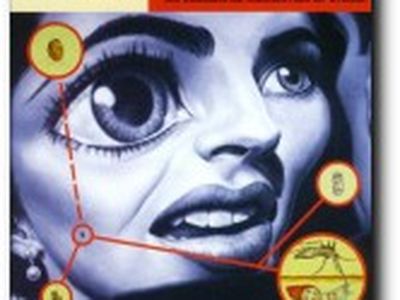 THE BEST OF EXTREME X-Treme