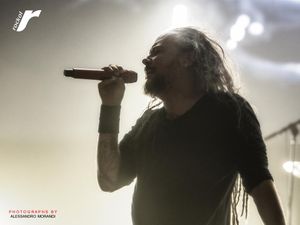 Korn