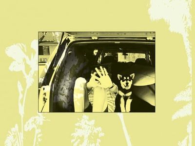 MOONLIGHT CONCESSIONS Throwing Muses