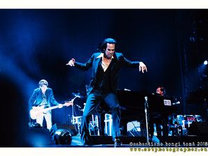 Nick Cave