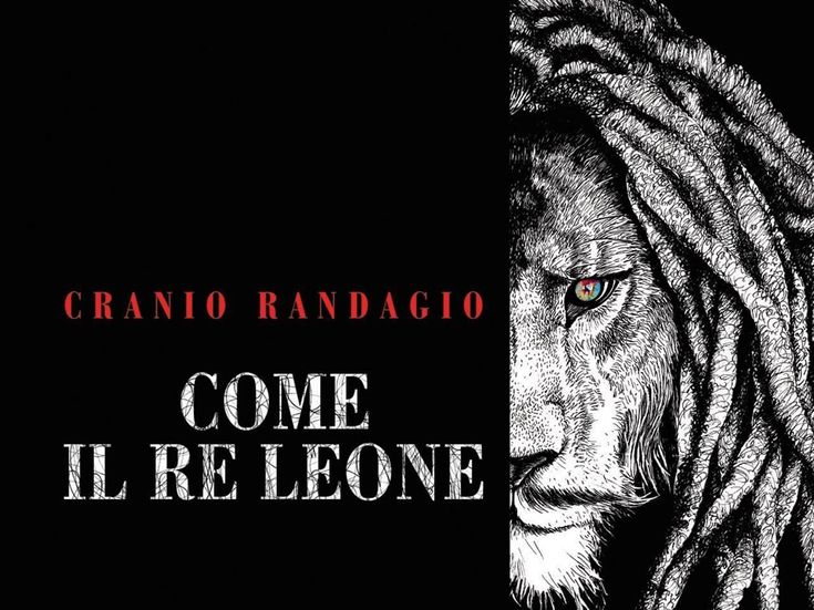 Cranio randagio