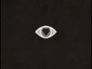 I Belladonna collaborano con Michael Nyman per il brano &apos;Let there be light&apos;