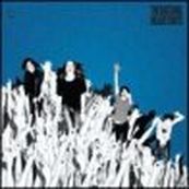 Datsuns - HEAD STUNTS