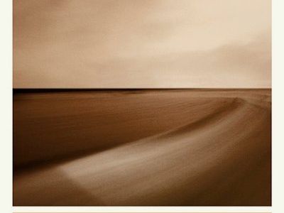 SMALL CRAFT ON A MILK SEA Brian Eno