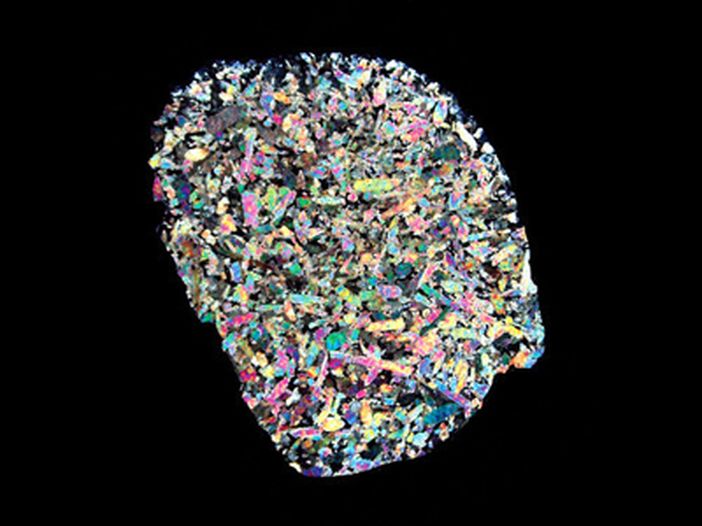 Gratis online il nuovo singolo degli Echo And The Bunnymen