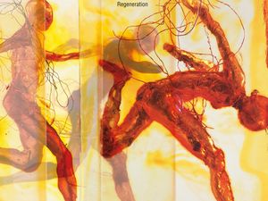 Concerti: Anna Calvi, Tim Burgess (Charlatans), Divine Comedy al Sexto’nplugged