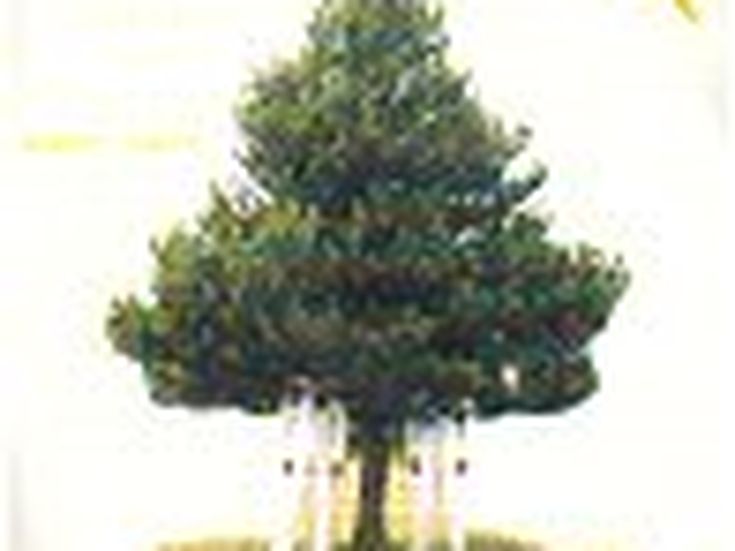 I Tosca tornano con 'No hassle': 'E’ ora di rilassarsi'. E con Kruder...