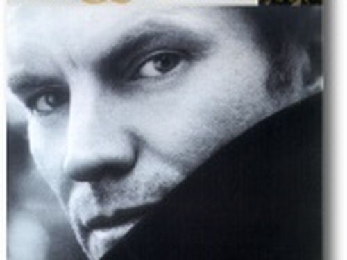 sting.com: è legale, ma Sting non c'entra