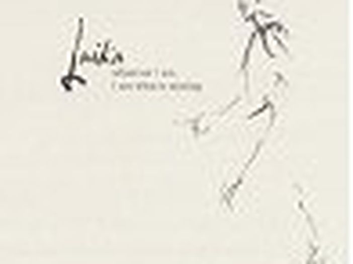 Nuovo sito - e nuova vita - per i Laika