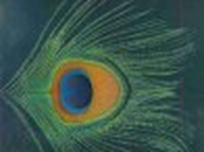 XTC: 'La nostra lottacontro l'industria del disco' XTC: 'La nostra lottacontro l'industria del disco'