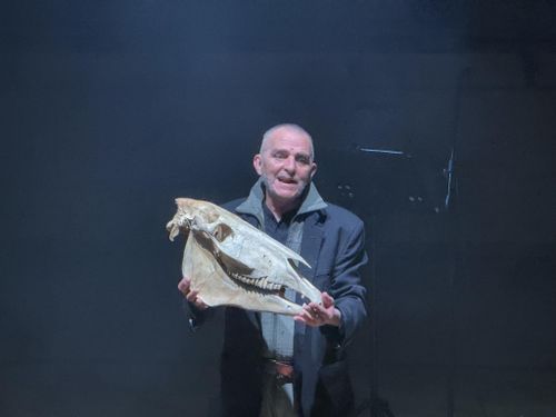 Il Festival per Te di Giovanni Lindo Ferretti