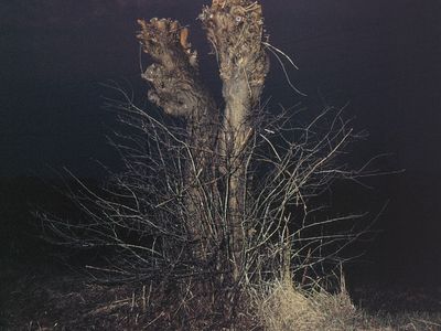 The Observer 2012: chi abbiamo ospitato e le ultime novità