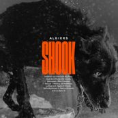 Algiers - SHOOK