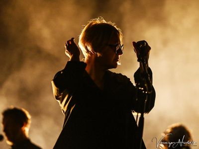 Cancellate le prime date dei Massive Attack dopo i problemi di 3D