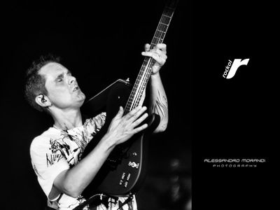 Muse