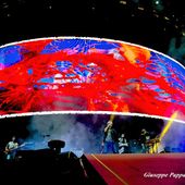 6 settembre 2014 - Stadio Nereo Rocco - Trieste - Ligabue in concerto 6 settembre 2014 - Stadio Nereo Rocco - Trieste - Ligabue in concerto