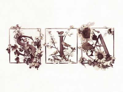 Ingenious colpisce ancora: 1 milione di sterline per l&apos;album di Sia (Zero 7)