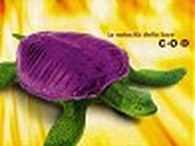 C.O.D., album di debutto prodotto da Rossi (Ustmamò)