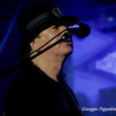 13 luglio 2016 - Parco della Lesa - Cividale del Friuli (Ud) - Santana in concerto