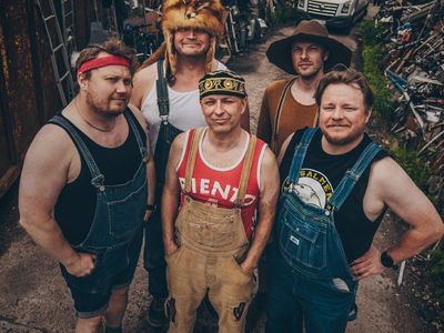 Steve'n'Seagulls
