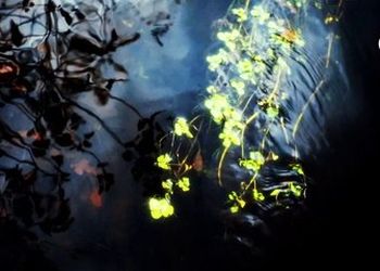 Fabrizio Paterlini - &quot;When Autumn comes&quot; (Live)