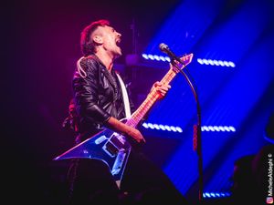 Royal Republic