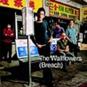 Wallflowers - BREACH