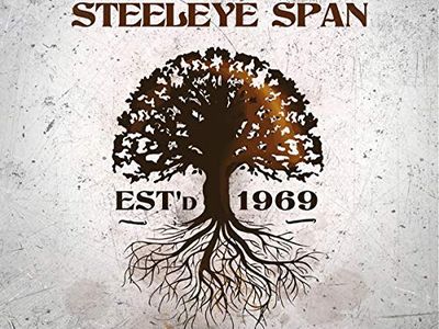 Grande andirivieni negli Steeleye Span