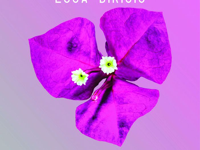 Luca Dirisio e &#039;figli di&#039; nel cast dell&#039;Isola dei Famosi