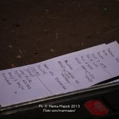 2 novembre 2013 - Auditorium San Romano - Lucca - Cristina D&#039;Avena in concerto