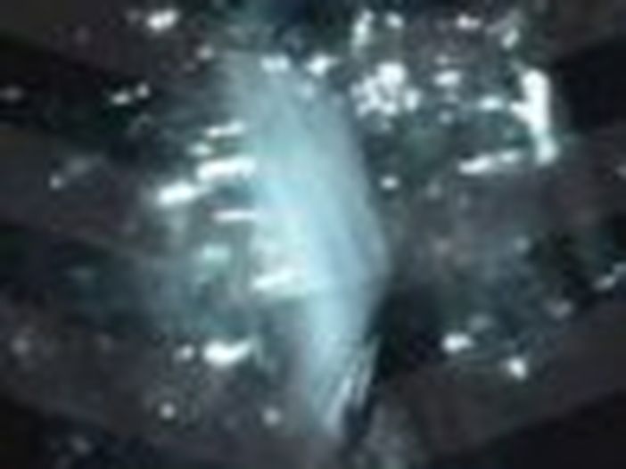 Incidente, ferita la cantante degli Yeah Yeah Yeahs