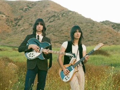 Lemon Twigs