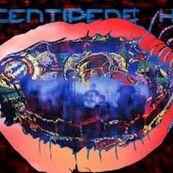 Animal Collective - CENTIPIDE HZ Animal Collective - CENTIPIDE HZ