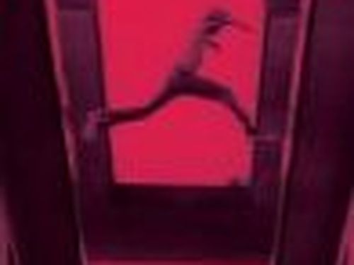 Mos Def, in classifica vendendo magliette? 