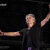 25 giugno 2019 - Stadio Artemio Franchi - Firenze - Ligabue in concerto 25 giugno 2019 - Stadio Artemio Franchi - Firenze - Ligabue in concerto