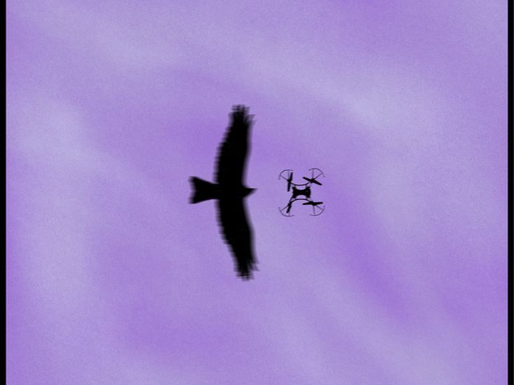 UN ALTRO CIELO Irbis 37