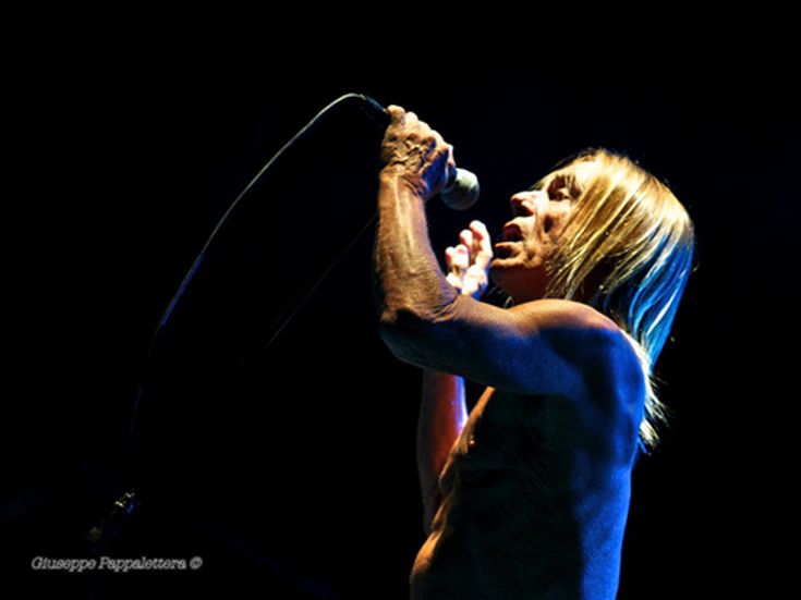 Stooges (senza Iggy Pop): in arrivo un album con Biafra, Lanegan e altri