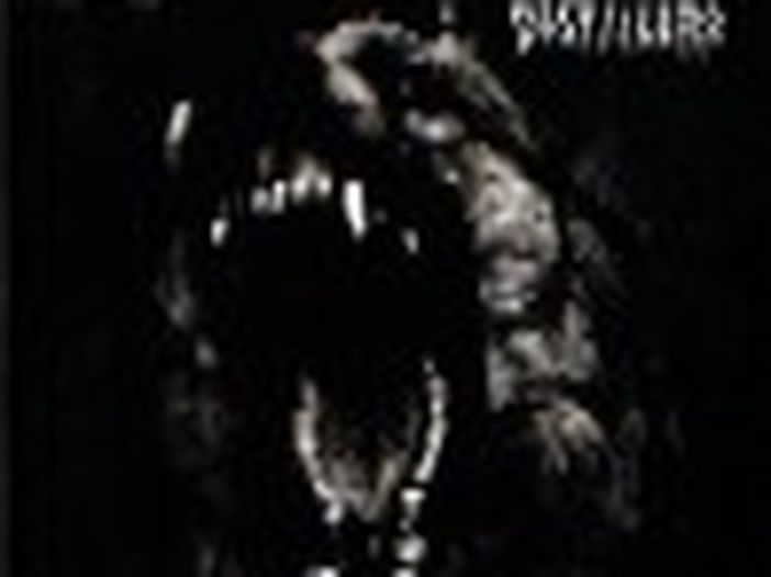 Brody dei Distillers cambia cognome, addio al matrimonio con Tim dei Rancid Brody dei Distillers cambia cognome, addio al matrimonio con Tim dei Rancid