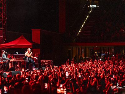 Morrissey: ecco il nuovo brano &quot;Istanbul&quot; - ASCOLTA